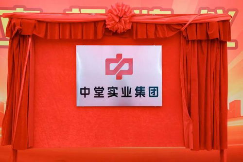 高質(zhì)量發(fā)展新征程 中堂實業(yè)集團揭牌成立，百墩實業(yè)開啟新篇章